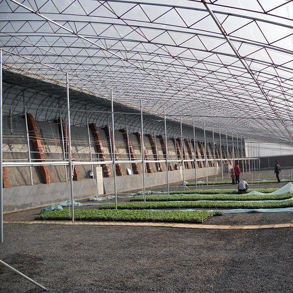 Full Payment Juxiang prime s Illuminate Sunlight Greenhouse for Tomato Film Cover Material