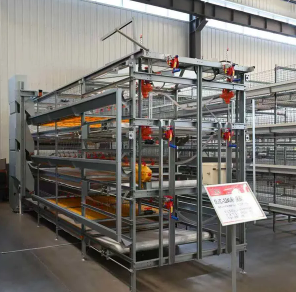 Commercial Poultry Cage System Featuring Durable Plastic Feed Pan