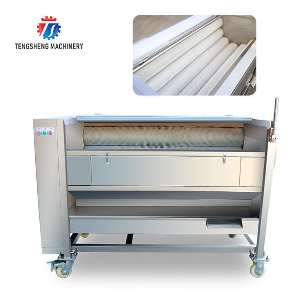 Máquina de casca da batata da máquina da limpeza de escova da limpeza de escova da cenoura de 250KG 380V e da máquina de casca