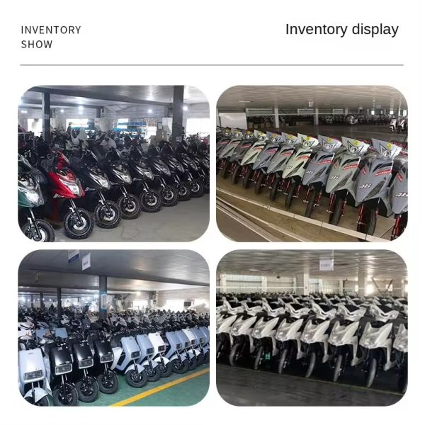 2024 800W 60v Cargo Delivery Motorcycle with Rear Hub Motor Steel Frame Lithium Battery