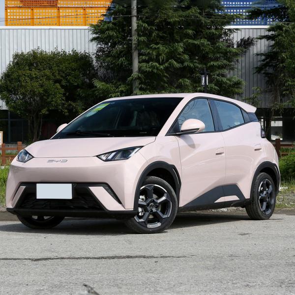Four Seat EV BYD Car Build Your Dreams All Electric Vehicles Seagull