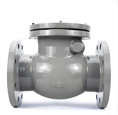ANSI B16.2in 20in Pornd 150 - 800 Pornd Adjustable Cast Iron Swing Check Valve