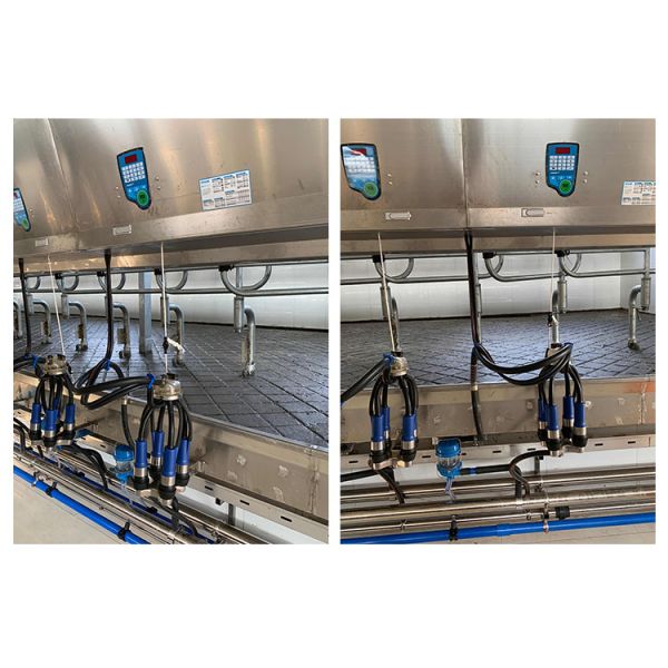 11kw Vacuum 3800L Parallel Parlor Milking Systems 128 Cows Per Hours