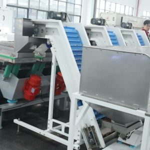 AI-Powered Walnut Kernel Grading Machine High Resolution Cameras 8 Lane Large Output Foreign Material Remover 12 outlets