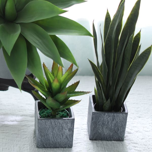 Custom Real Touch Mini Artificial Succulent Plant 35cm With Pot  Decor