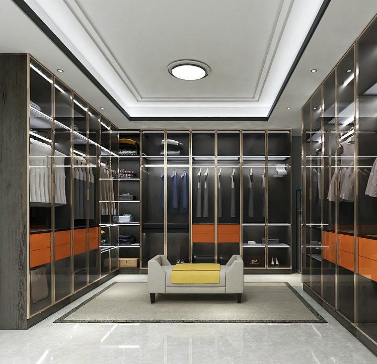 Custom Designed for Wardrobe Closet Modern LED Lighted Aluminum Metal Storage Shelves Glass Coating Technology Clear Wardrobe