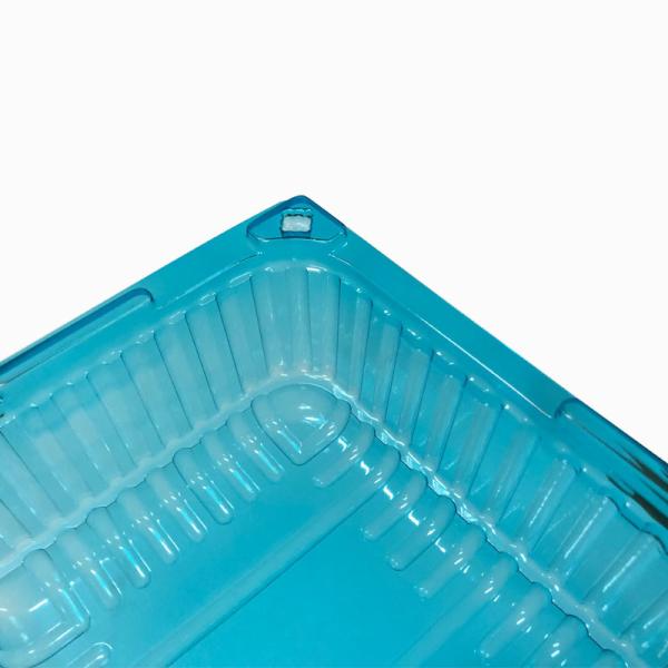 Custom PET Clamshell Packaging for Frozen Seafood Lobster Oysters