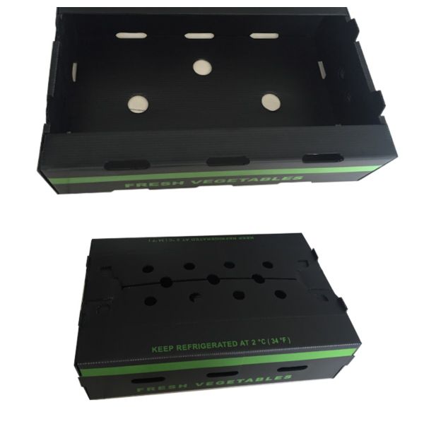Agriculture Vegetable Packaging Box Coroplast Boxes For Vegetables Packaging