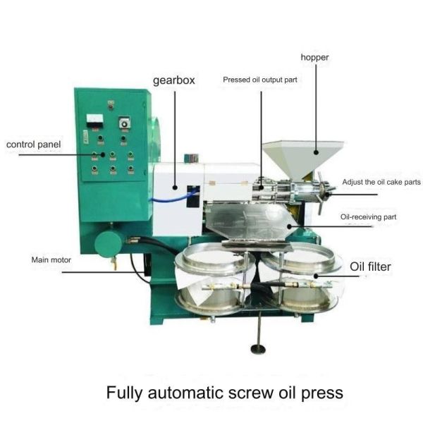 125 KG NewStyle Coconut Soybean Copra Screw Expellers mustard seed diesel cold industrial oil press machine