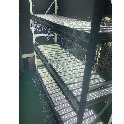 IP65 LED Corrosion-Proof Light Resistant to Corrosion and CRI 80Ra for Industrial Environments