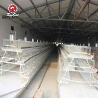 Type galvanisé à chaud norme d'A des rangées Q235 de Chick Cage 3 de bébé de grilleur