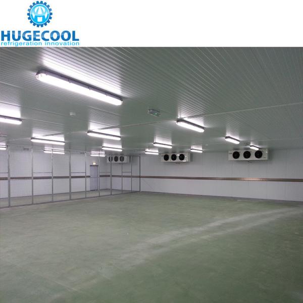 Estrutura montada de grande painel de poliuretano de alta densidade, sala fria para carne e peixe