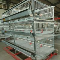 Installation de batterie automatique de ferme dans la volaille, équipement de grilleur de poulet de HDG 150/200