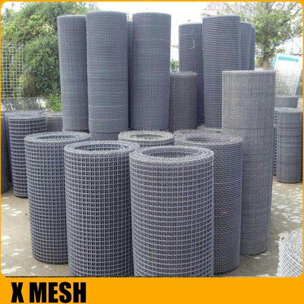 Double Gi 2mm Crimped Wire Mesh Stainless Steel