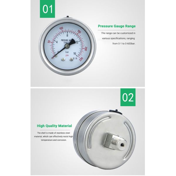 Back-Mounted 60mm Stainless Steel Bourdon Tube Pressure Gauge with Customized OEM Support