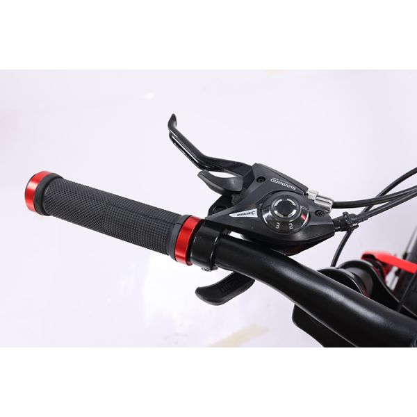 Fat tire vélo Fatbike personnalisable Croisière Neige Pleine suspension Vélo de montagne Vélo de plage Vélos à queue douce 21 vitesses