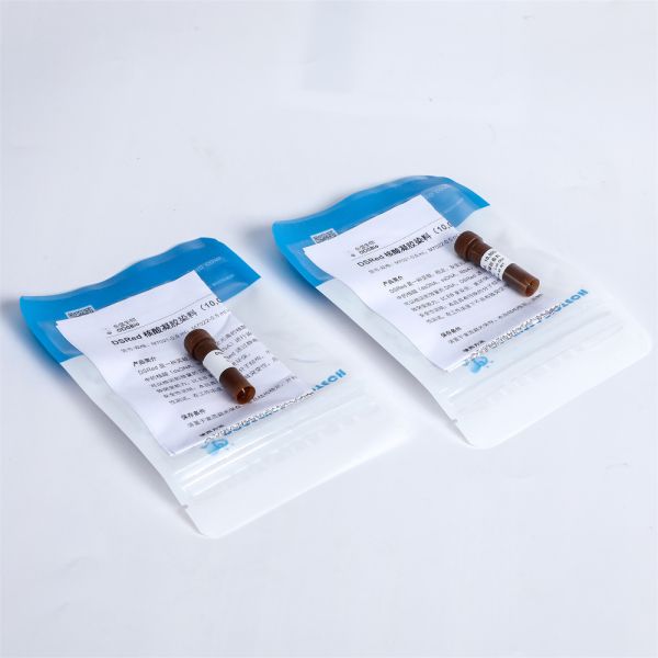 El gel ácido nucléico de 10000× DSRed mancha los reactivo específicos no tóxicos