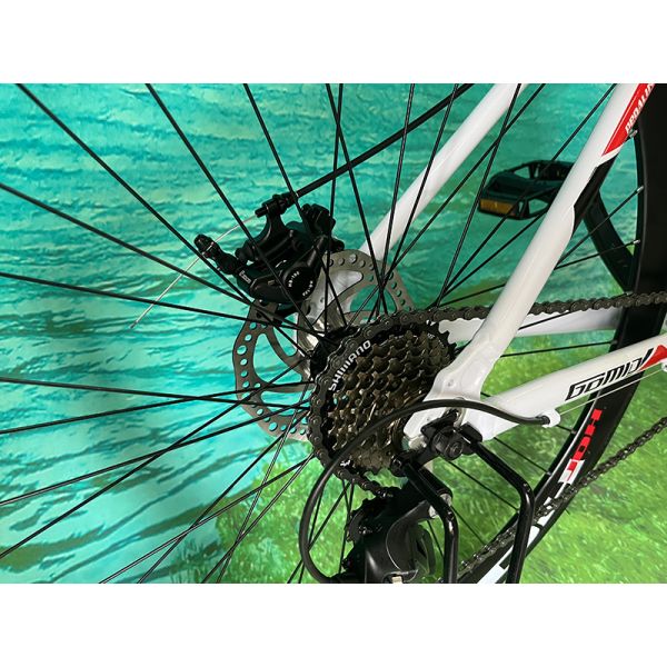 Flat Roads Occasion Racing Bike Aluminum Alloy Road Bicycle Hydraulic Disc Brake Roadbike for Man 700c Road Bike