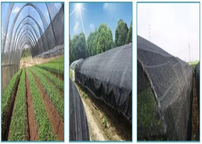 Сетка связанная Hdpe пластиковая ловя сетью тень 80% черную аграрную Солнце