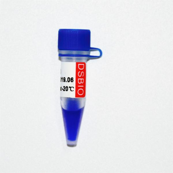 Escada 2000 do marcador do ADN do DS M1101 (50μg) /M1012 (50μg×5)