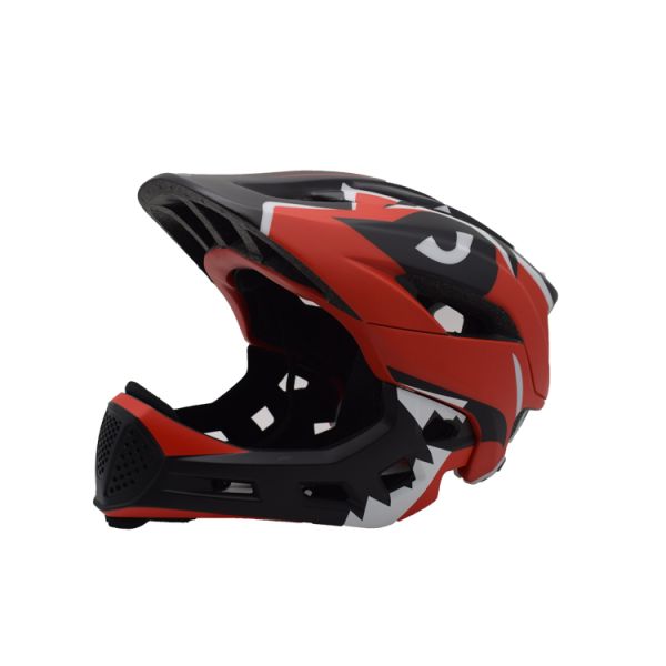 13-vent fullface helmet suitable for sports Biking/Cycling/E-bike riding