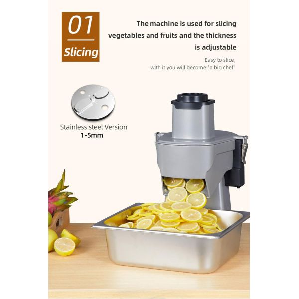 Small Size Vegetable Cutter for Home Shredding Slicing Dicing Raw Material Fruit