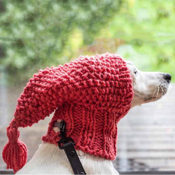 Y-Z Custom Pet Clothing Hats Warm Tassels Winter Wool Neck Ear Warmer Hand Knitted Dog Snood
