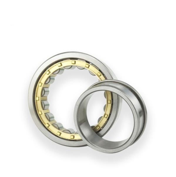 Full Complement Cylindrical Roller Bearings NJ205 NJ220 NJ200 Series