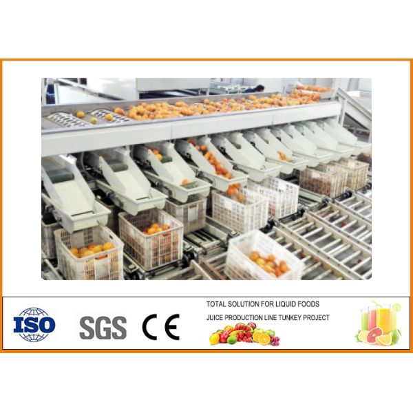 20T/H Capacity Orange Juice Production Line , Orange Juice Processing Plant