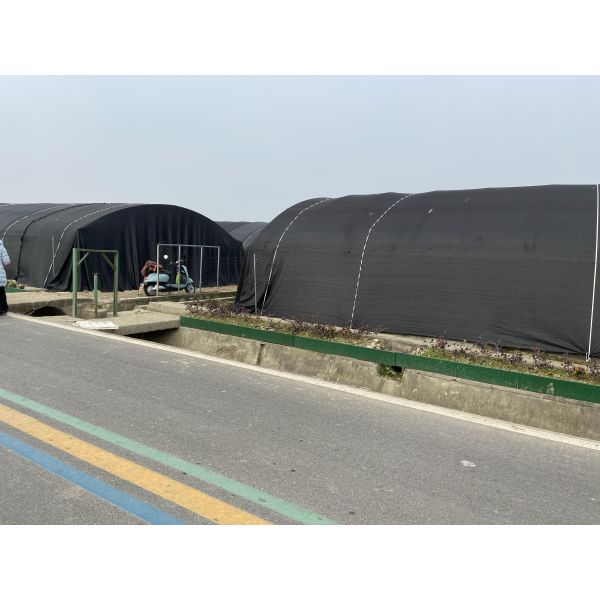 Side Ventilation Plastic Film Low Tunnel Greenhouse Single Span For Mushroom Growing