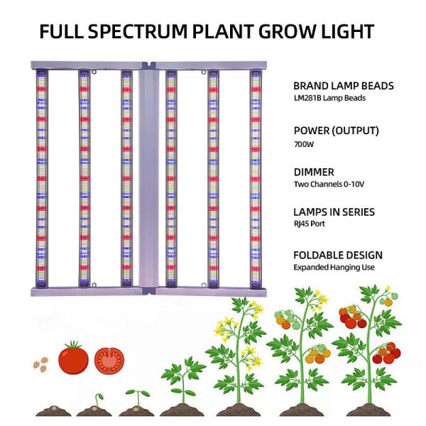 Deux canaux Lumière de culture à LED agricole 700W 6 bar Lumière UV à spectre complet pour les plantes
