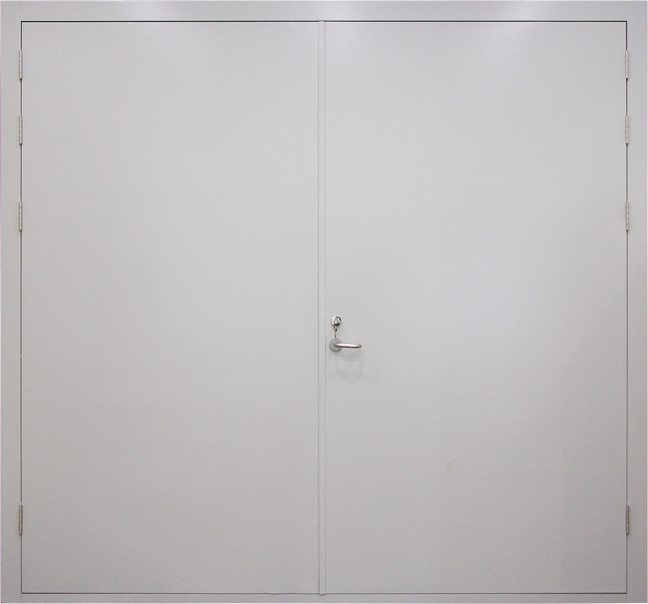Galvanized Steel Fire Proof Door Fire Resistant Double Fire Rated Door Custom