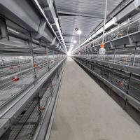 208 Birds Broiler Chicken Cage