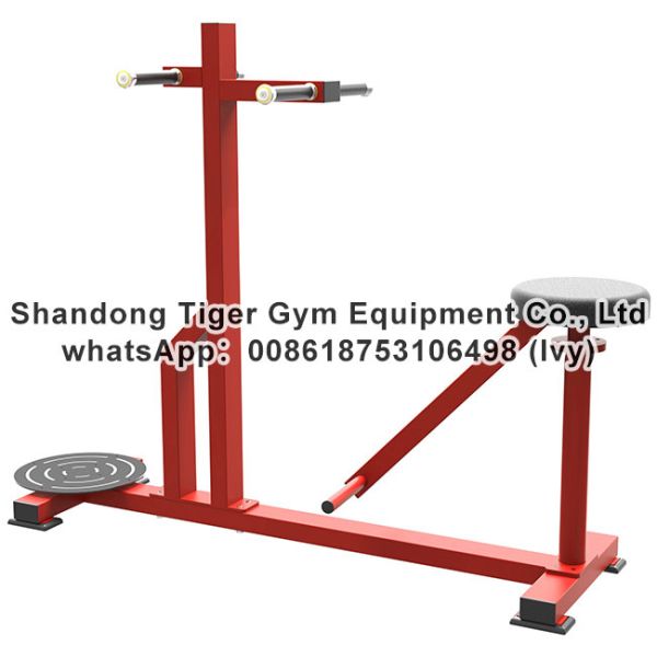 Gym Fitness Equipment Stand Torso exercise machine