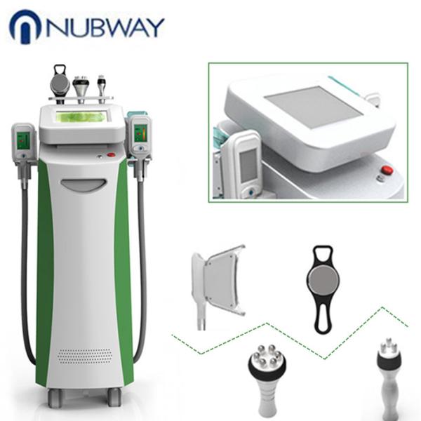 Weight loss freeze fat cell body slimming cryolipolysis machine fat freeze