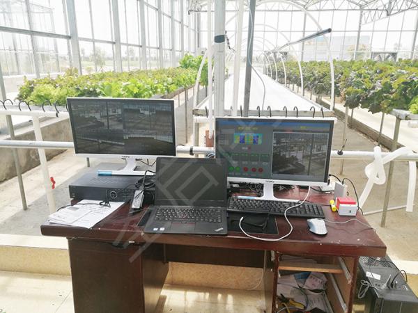 Premium PC Sheet Sustainable Greenhouse , Forest Garden Greenhouse Multi Span Type