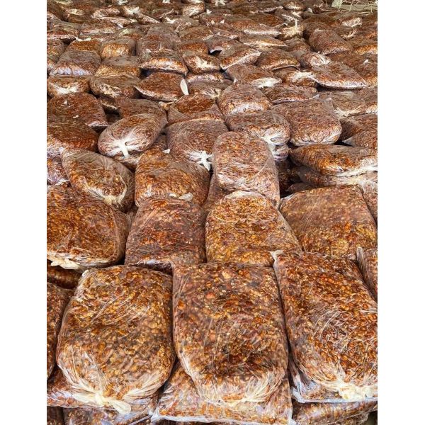 Плод ХАККП сохраняет закуску тамаринда еды высушенную без консервантов