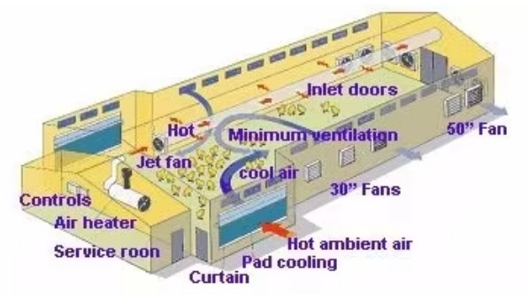 Modern Design Steel Structure Broiler House Chicken Warehouse For Farmhouse
