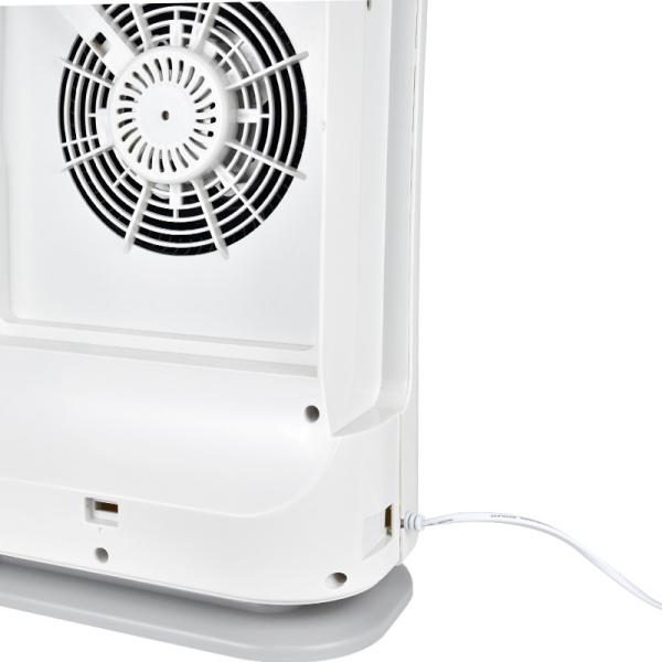 Desktop Pm2.5 true Hepa Air Purifier Anion concentrations 5 million