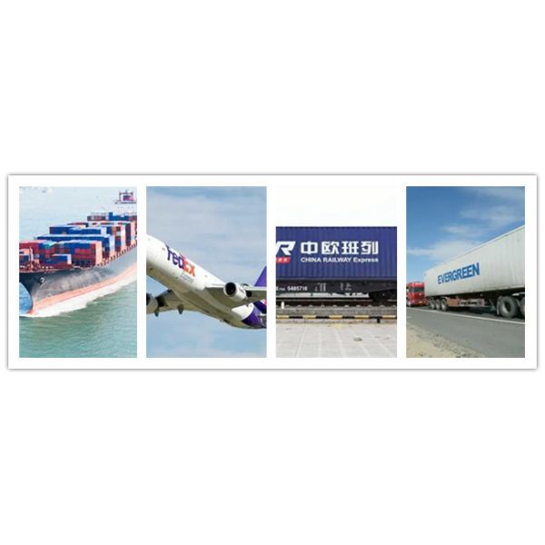 ANSI B16.5 Stainless Steel Flanged Fittings Stainless Sus Flange