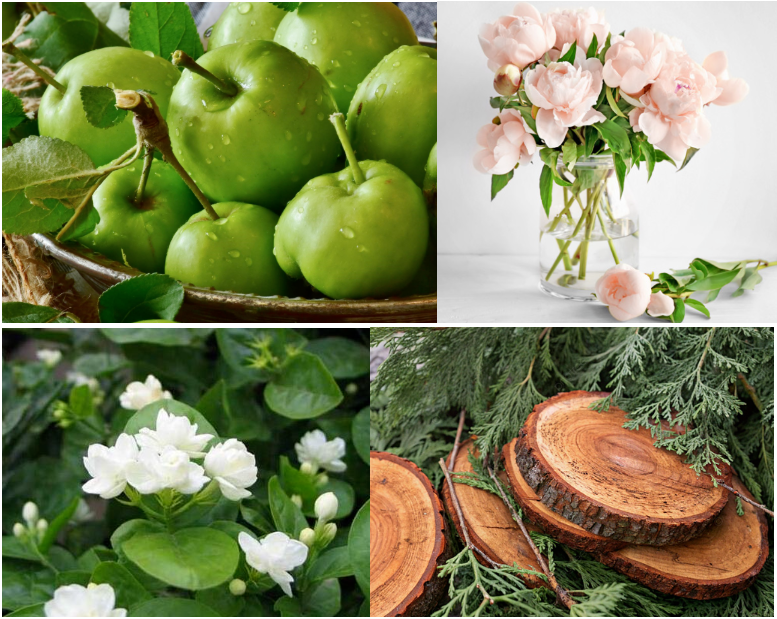 Free Sample 10ml Lacos Te Red Fragrance Oil Essence For Perfume Making  100% Pure