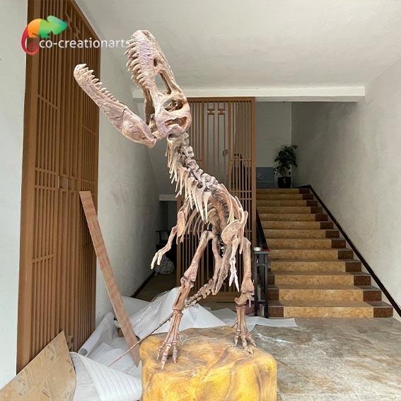 Waterproof Fiberglass Dinosaur Skeleton Replicas For Museum Exhibition