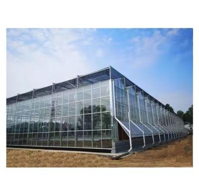 Grande estufa de vidro Venlo Solução ideal para o cultivo de vegetais Projeto chave na mão