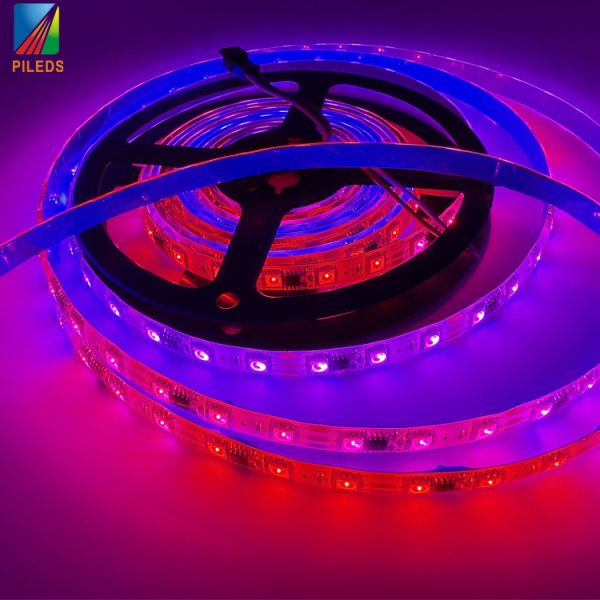 WS2811 プログラム可能な RGB LED ピクセルテープ 60 Leds 12V ストライプ リモコン アドレス可能な色 庭の装飾 KTVクラブ