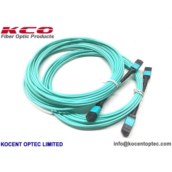 MPO-12 12fo 24fo MM OM3 OM4 50/125 MPO MTP Optical Fibre Trunk Cable