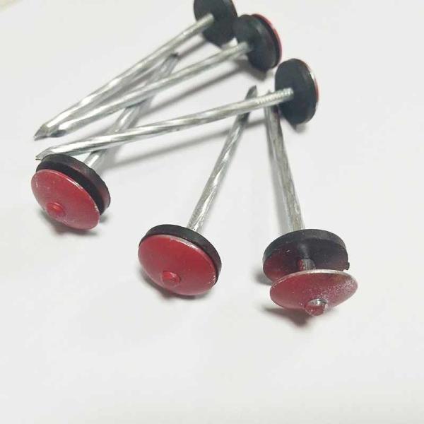 Customized Color Galvanized Roofing Nails Steel Material Carton Packing