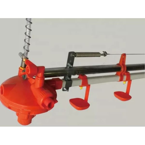 Plastic Nipple System In Poultry Farm water and manpower saving