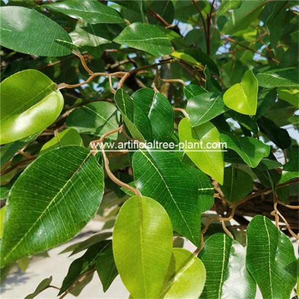 Large Fiberglass Material Artificial Ficus Tree Faux Banyan Plant For Outdoor Decoration