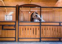 La boîte stable de cheval du message publicitaire 10ft 12ft/a galvanisé la barrière de cheval