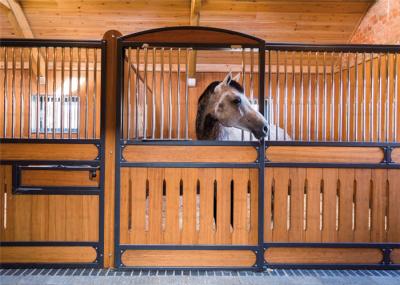 A caixa estável do cavalo do anúncio publicitário 10ft 12ft/galvanizou a cerca do cavalo